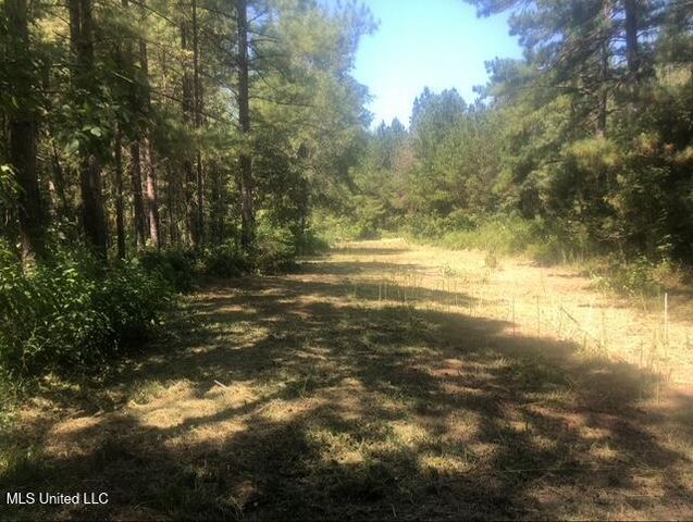 10501 Hwy 501, Forest, MS 39074