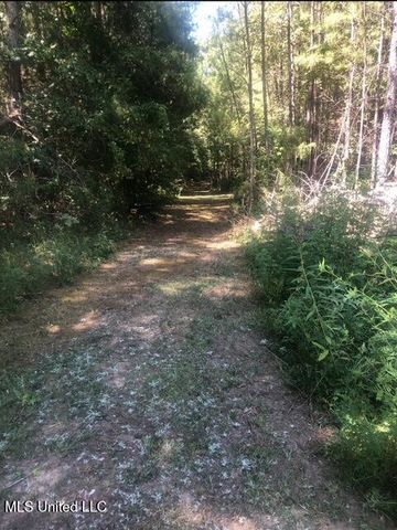 10501 Hwy 501, Forest, MS 39074