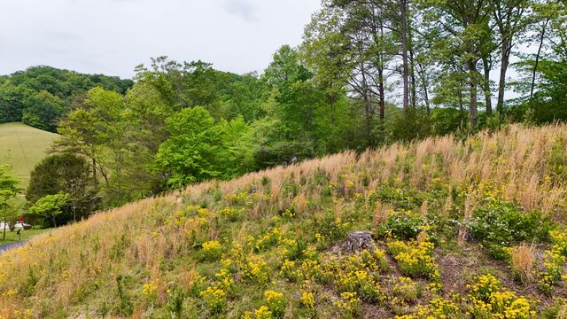 85 Mary Ann Drive, Gray, KY 40734