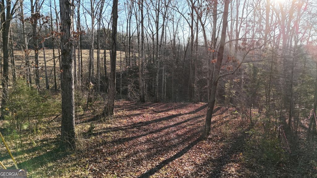 151 Sandy Springs Drive, Athens, GA 30601 — photo 2