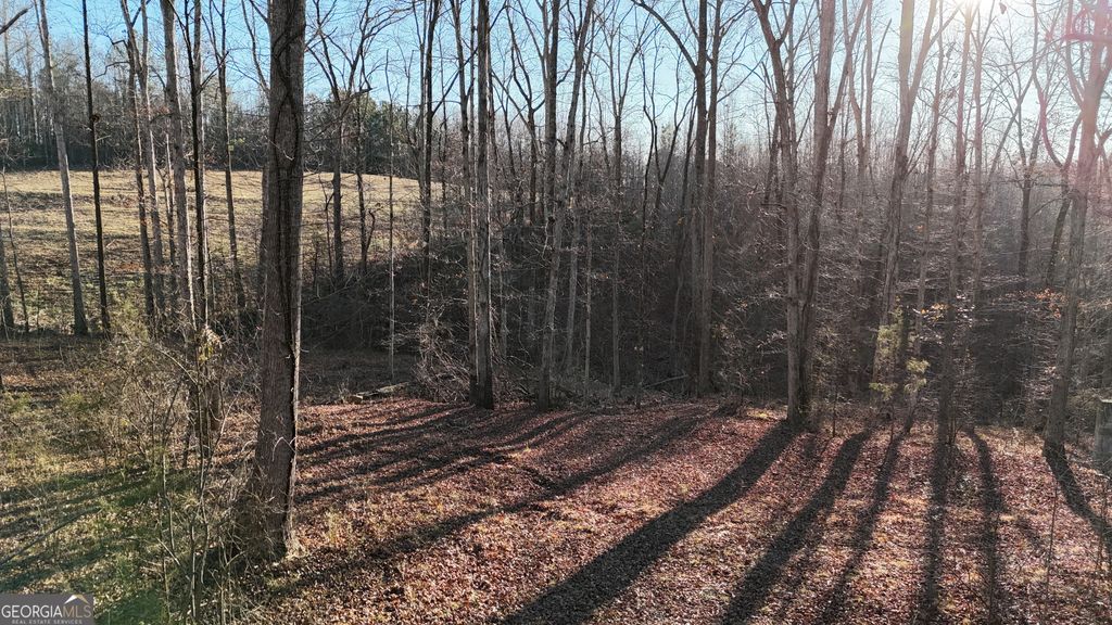 151 Sandy Springs Drive, Athens, GA 30601 — photo 3