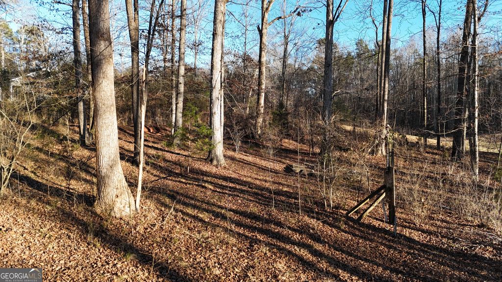 151 Sandy Springs Drive, Athens, GA 30601 — photo 5