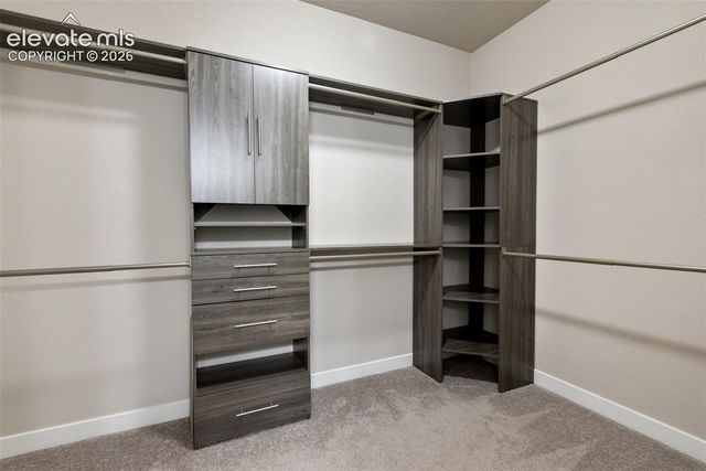 6635 Carriage Meadows Drive, Colorado Springs, CO 80925