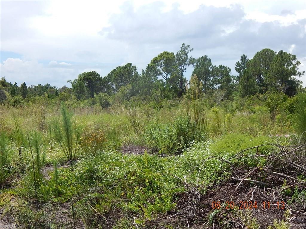 958 Commodore ST, LEHIGH ACRES, FL 33974 — exterior