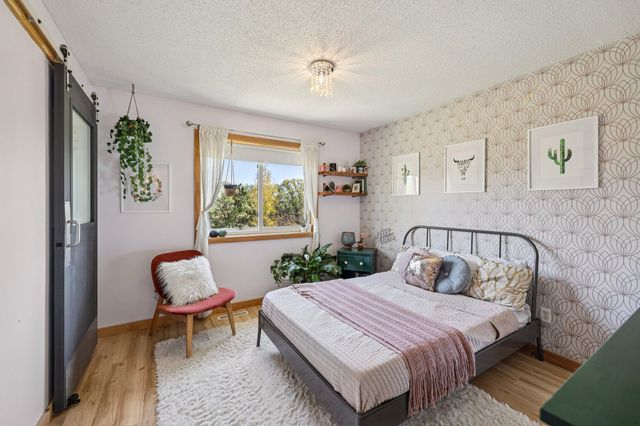 29225 113th Street, Princeton, MN 55371