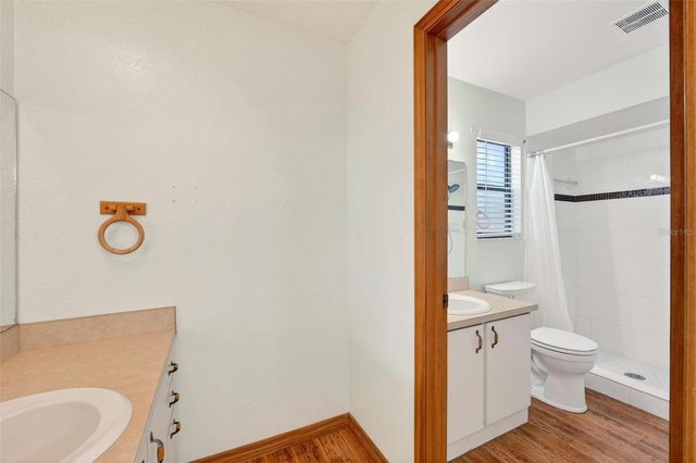 1780 HEATHER STREET, Mount Dora, FL 32757