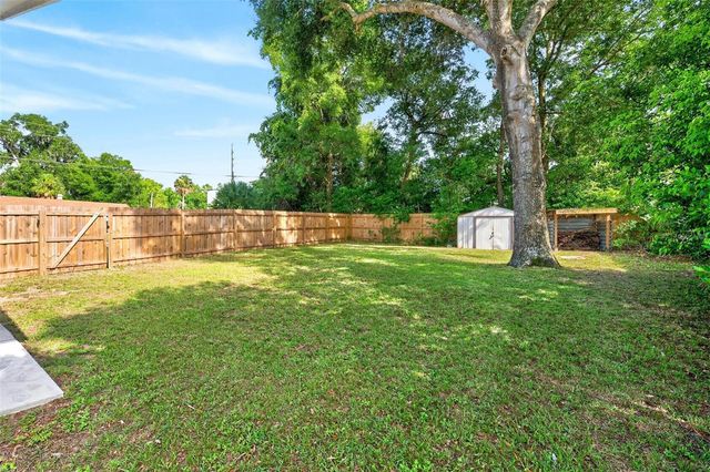 1125 N TREMAIN STREET, Mount Dora, FL 32757