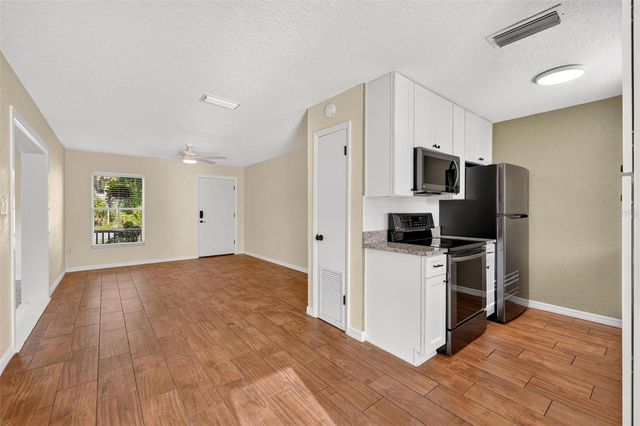 1125 N TREMAIN STREET, Mount Dora, FL 32757