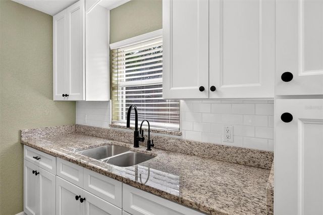 1125 N TREMAIN STREET, Mount Dora, FL 32757