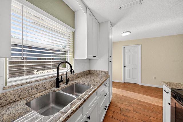 1125 N TREMAIN STREET, Mount Dora, FL 32757