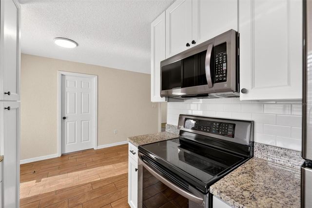 1125 N TREMAIN STREET, Mount Dora, FL 32757