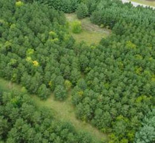 TBD County Highway 54, New York Mills, MN 56567