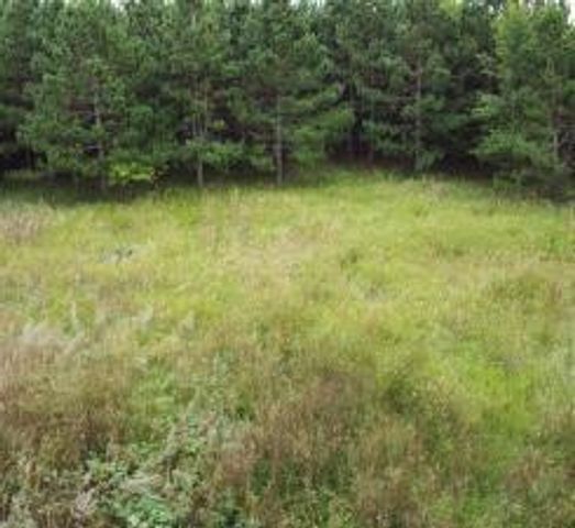 TBD County Highway 54, New York Mills, MN 56567