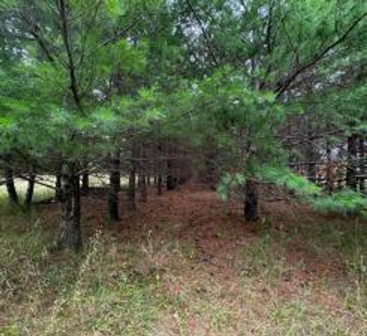 TBD County Highway 54, New York Mills, MN 56567