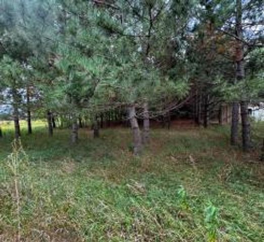 TBD County Highway 54, New York Mills, MN 56567