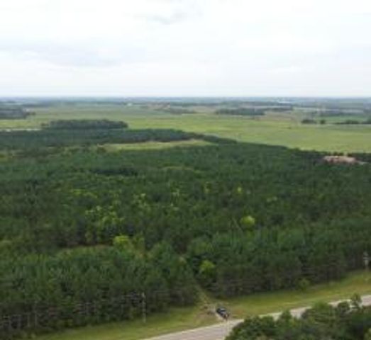 TBD County Highway 54, New York Mills, MN 56567