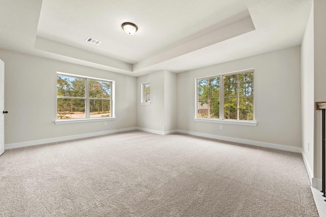 710 Walnut Branch Drive, Rosenberg, TX 77471