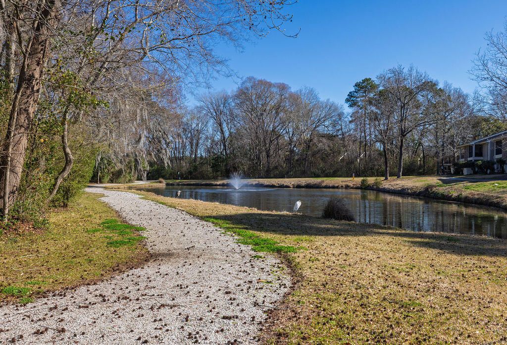 Image 39 of property listing at 1716 Villa Maison, Mount Pleasant, SC 29464