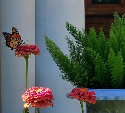 319 S Denton Street, Gainesville, TX 76240