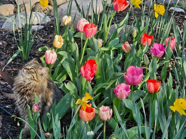 319 S Denton Street, Gainesville, TX 76240