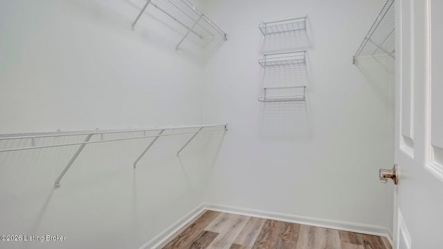 5139 Withorn Square, Louisville, KY 40241