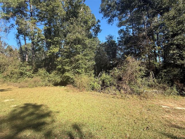 TBD4 Lake Shore Drive, Conroe, TX 77303