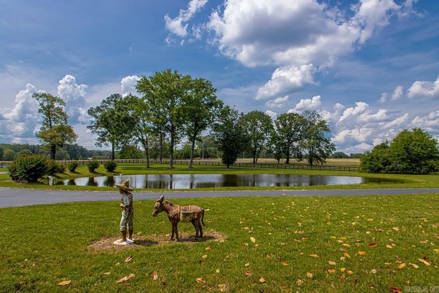 11750 Congo Ferndale Road, Alexander, AR 72002