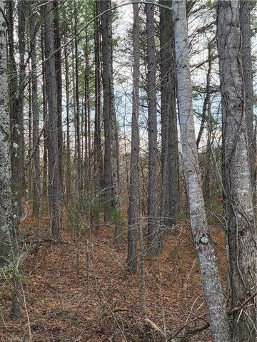 1671 Bowen Road, Pinnacle, NC 27043
