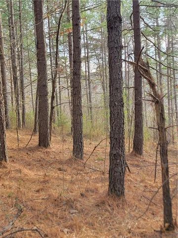 1671 Bowen Road, Pinnacle, NC 27043