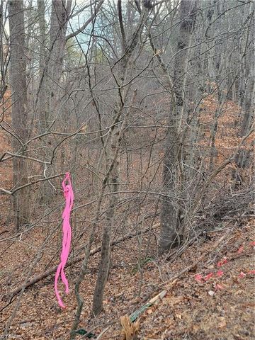 1671 Bowen Road, Pinnacle, NC 27043