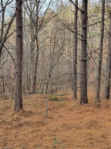 1671 Bowen Road, Pinnacle, NC 27043