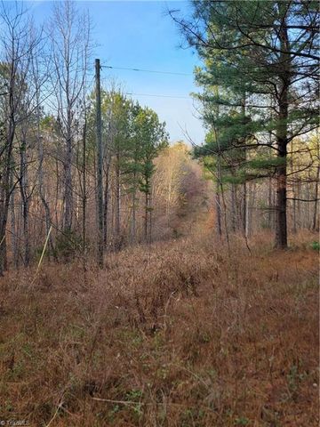 1671 Bowen Road, Pinnacle, NC 27043
