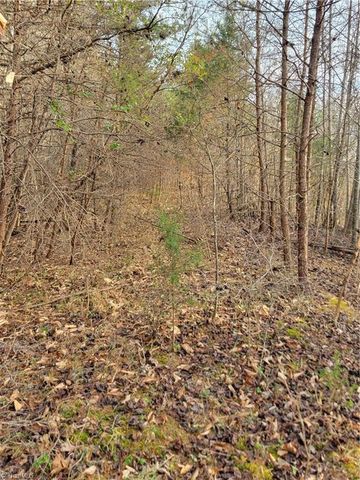 1671 Bowen Road, Pinnacle, NC 27043