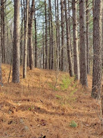 1671 Bowen Road, Pinnacle, NC 27043