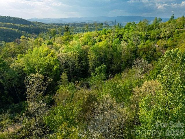 lot 27 Eastatoe Gap Road 27, Rosman, NC 28772
