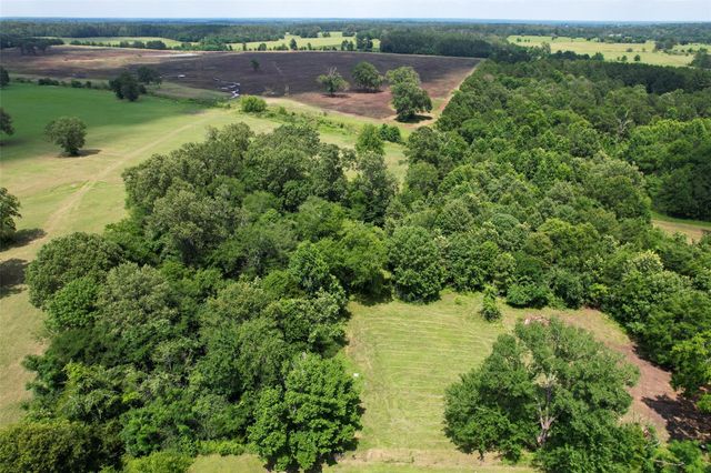 1137 Jones Road, New Waverly, TX 77358