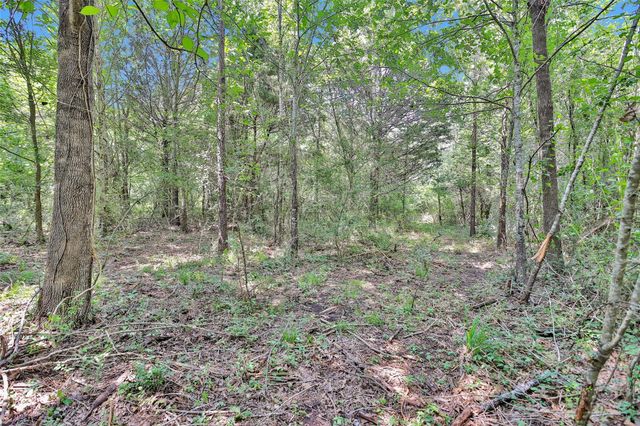 1137 Jones Road, New Waverly, TX 77358