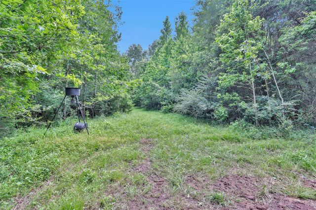 1137 Jones Road, New Waverly, TX 77358