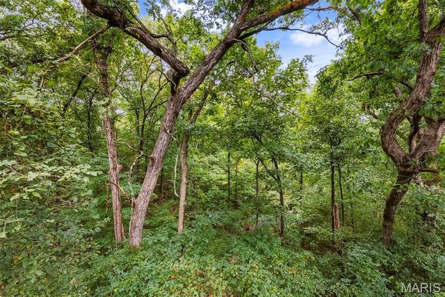 18409 Woodland Meadows Drive, Wildwood, MO 63038