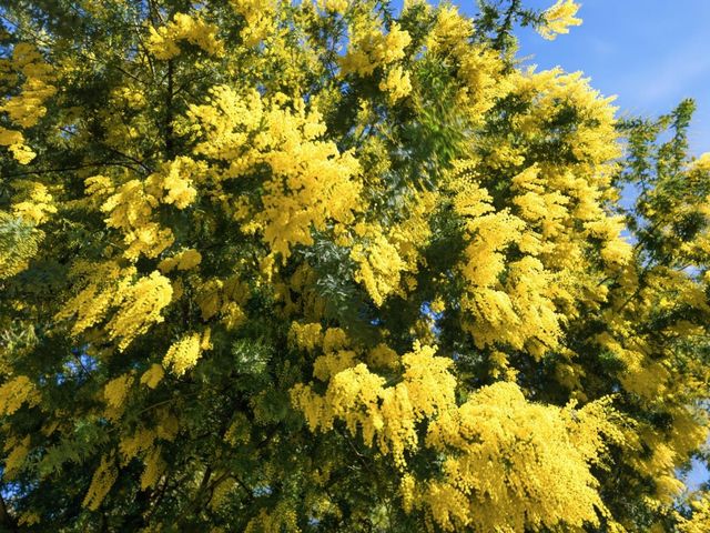 28266 Christopher Lane, Los Altos Hills, CA 94022