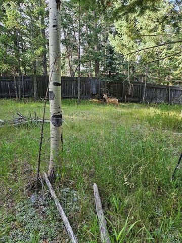 TBD Rolling Park Drive, Woodland Park, CO 80863