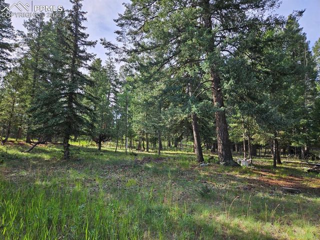 TBD Rolling Park Drive, Woodland Park, CO 80863