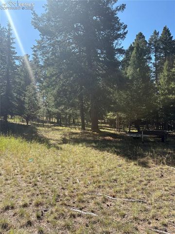 TBD Rolling Park Drive, Woodland Park, CO 80863