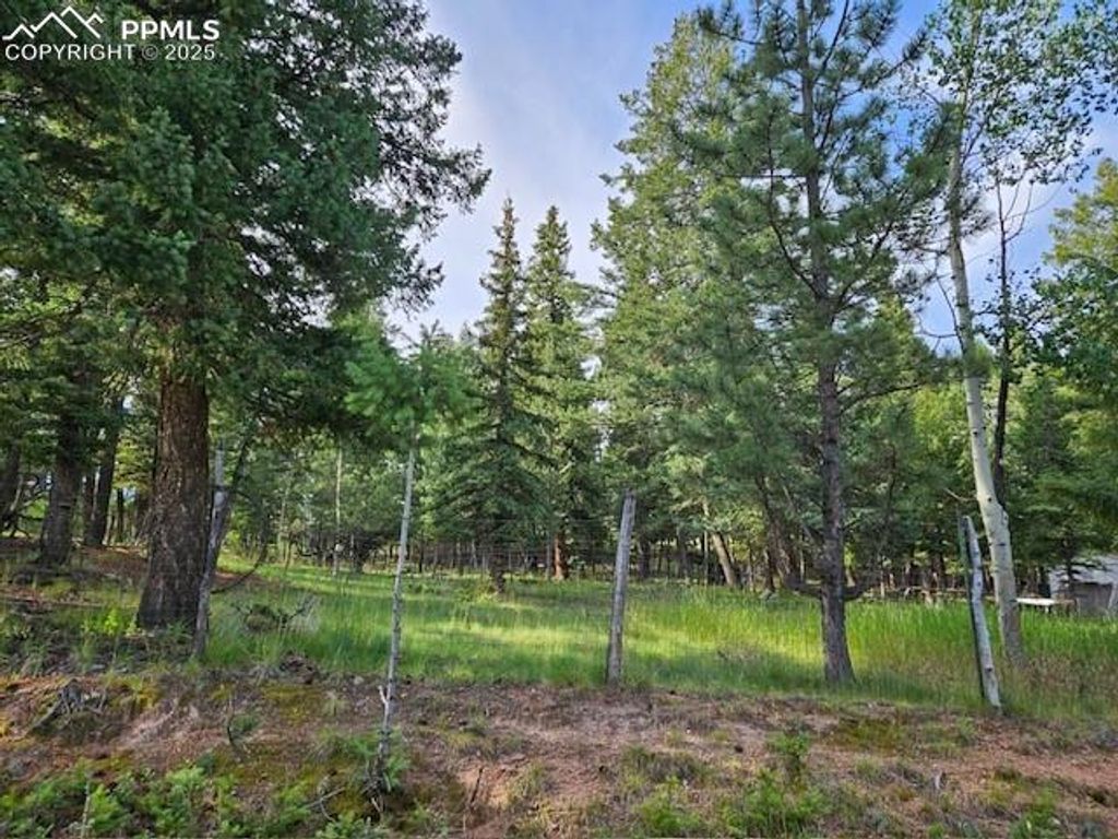 TBD Rolling Park Drive, Woodland Park, CO 80863