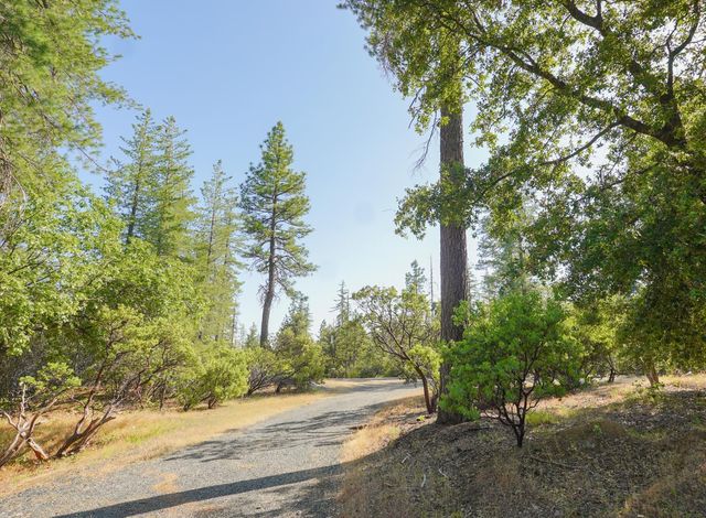 5990 Sugar Pine Dr, Coulterville, CA 95311