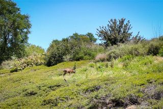 85 Mira Mesa, Rancho Santa Margarita, CA 92688