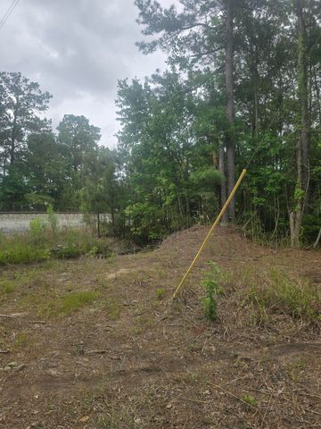 0 Pete Ewers Drive, Summerville, SC 29483