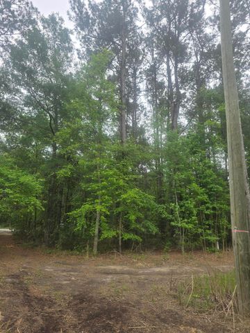 0 Pete Ewers Drive, Summerville, SC 29483