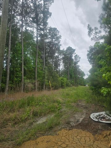 0 Pete Ewers Drive, Summerville, SC 29483
