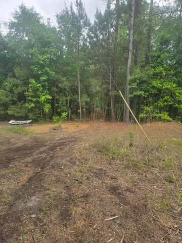 0 Pete Ewers Drive, Summerville, SC 29483